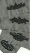 ARMY Embroidered Qualification badges for the ABU's.