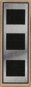ARMY Warrant Officer (WO-3) hardhat sticker