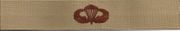 BASIC PARACHUTIST, Breast Device, Embroidered in GOLD Thread on TAN fabric