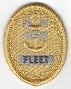   E-9 Command Master Chief fleet Breast Device, NWU Type I