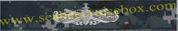 ENLISTED SURFACE WARFARE SPECIALIST,  Breast Device, Type I 