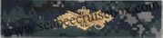 Seabee Combat Warfare Specialist (GOLD)  Breast Device, Type I 