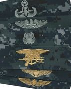 Breast Devices Warfare Specialist  insignia for  NWU Type I