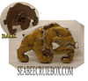 BULL DOG GOLD COLOR WITH WHITE BONE.