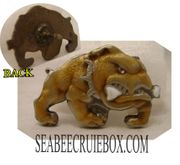 BULL DOG GOLD COLOR WITH WHITE BONE.