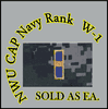 Cap Device embroidered   WO1 , New Navy Digital