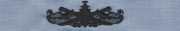 Chambrell Enlisted Surface Warfare Specialist (ESWS)