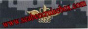 Collar Device AVIATION OPERATIONS TECH, New Navy Digital