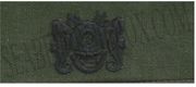 Collar Device DIVING OFFICER, on OD Green