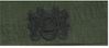 Collar Device DIVING OFFICER, on OD Green