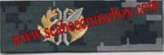 Collar Device LIMITED DUTY OFFICER-LAW DEVICE, New Navy Digital