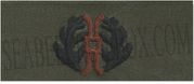 Collar Device NAVAL JAG, on OD Green