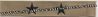 Collar Device O-7 Rear Admiral Lower Embroidered Desert Tan (right/left)
