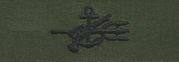 Collar Device SPECIAL WAREFARE COMM. WARRT, on OD Green