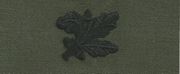 Collar Device SUPPLY OFFICER, on OD Green