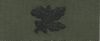 Collar Device SUPPLY OFFICER, on OD Green