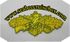 Seabee Combat warfare patch in GOLD for officer