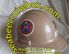 COMMAND HARDHAT STICKERS, Naval Mobile Construction Battalion 14 (The Pride of Dixie) COMMAND HARDHAT STICKERS, Naval Mobile Construction Battalion 14 (The Pride of Dixie)