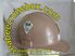 COMMAND HARDHAT STICKERS, Naval Mobile Construction Battalion 26 IN White COMMAND HARDHAT STICKERS, Naval Mobile Construction Battalion 26 IN White