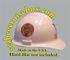 COMMAND HARDHAT STICKERS, US PUBLIC HELATH SERVICE ENGINEERS 1913 in Gold COMMAND HARDHAT STICKERS, US PUBLIC HELATH SERVICE ENGINEERS 1913 in Gold