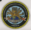 COMMANDER NAVY EXPEDITIONARY LOGISTICS SUPPORT GROUP 