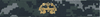 DEEP SUBMERGENCE OFFICER, GOLD, Breast Device, Type I DEEP SUBMERGENCE OFFICER, GOLD, Breast Device, Type I