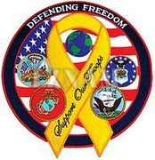 Defending Freedom Support Our Troops Back Patches 