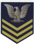 E 6 GOLD NAVY FLEET OLD SCHOOL HARDT STICKER