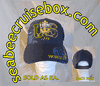 E-7 US NAVY 1775 BALL CAP