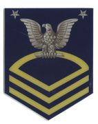 E 9 GOLD NAVY FLEET OLD SCHOOL HARDT STICKER