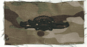 Expedition Warfare Specialist qualification in Mullica  patch black thread