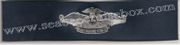 The Fleet Marine Force Warfare Insignia ENLISTED, Breast Device, Embroidered in Sliver Thread on BLUE coverall fabric
