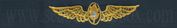 FLIGHT SURGEON, Breast Device, Embroidered in Gold Thread on BLUE coverall fabric