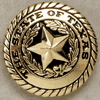 GOLD COLOR STATE OF TEXAS CONCHO