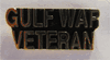 GULF WAR VET Small hat pin