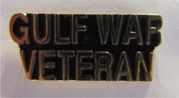GULF WAR VET Small hat pin