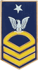 HONORS E-8 / SCPO small hat pin