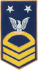 HONORS E-9 / MCPO small hat pin