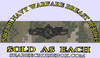 Information dominance warfare, Enlisted, -WOODLAND DIGITAL NWU Type III Information dominance warfare, Enlisted, -WOODLAND DIGITAL NWU Type III