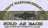 Information dominance warfare, Officer, -WOODLAND DIGITAL NWU Type III Information dominance warfare, Officer, -WOODLAND DIGITAL NWU Type III