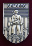 Large cap pins