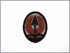 MCN - 1: Army Combat Uniform (ACU) Patch