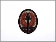 MCN - 1: Army Combat Uniform (ACU) Patch