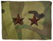 MULTI-CAM GORETEX RANK INSIGNIAS FOR ARMY Rank (CW-5)