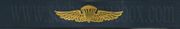 NAVAL PARACHUTIST, Breast Device, Embroidered in Gold Thread on BLUE coverall fabric