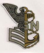 Navy chief selectee