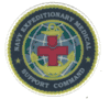 Navy Expeditionary Medical Support Command command hardhat stickers Navy Expeditionary Medical Support Command command hardhat stickers