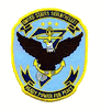 Navy Fleet patches