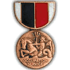 NAVY OCCUPATION Medal Hat Pin