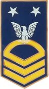 Navy rank hat pins